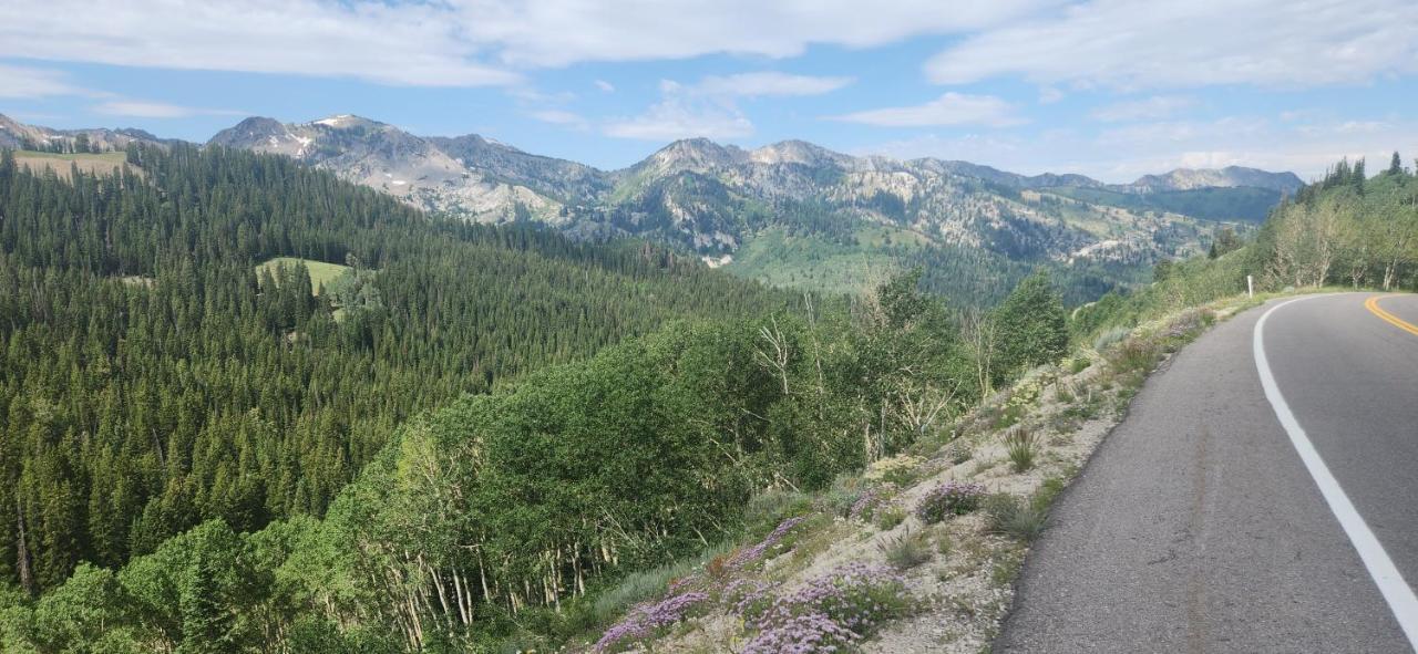 Stunning At Solitude, Steps From Chair Lift, East #103 Brighton المظهر الخارجي الصورة